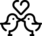 ICON 17 2