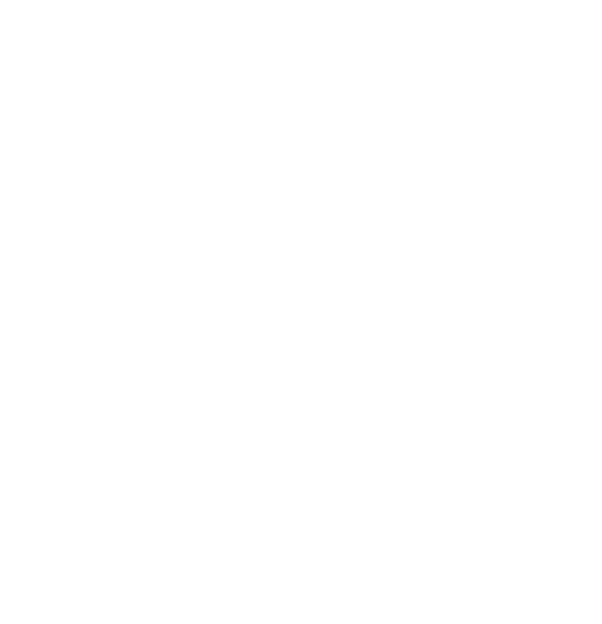 flower crown 1